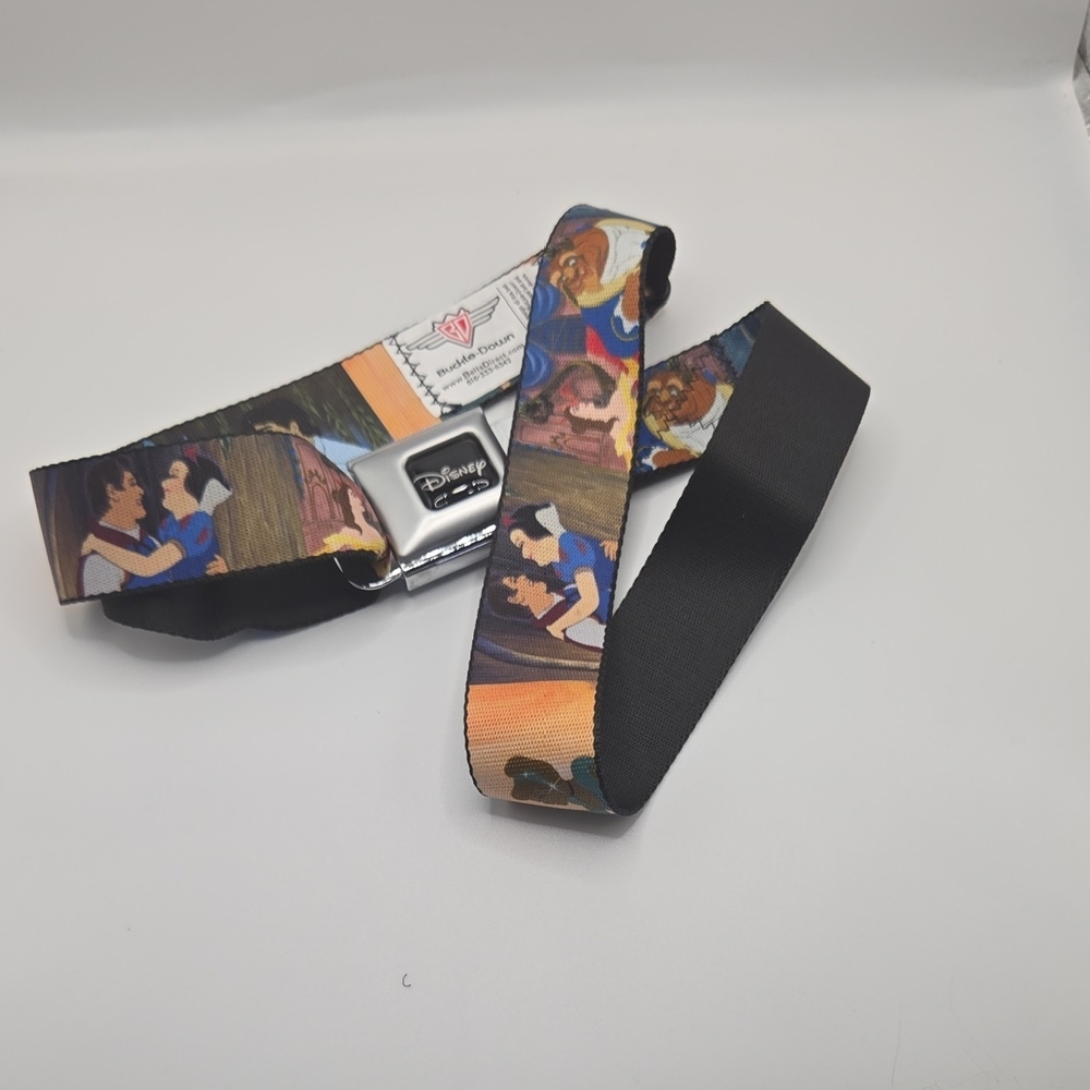 Disney Buckle Down Black and Multicolor Belt